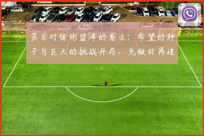 苏东对徐彬留洋的看法：希望的种子与巨大的挑战并存，先做好再追求完美